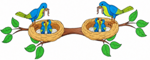 Aviary Community